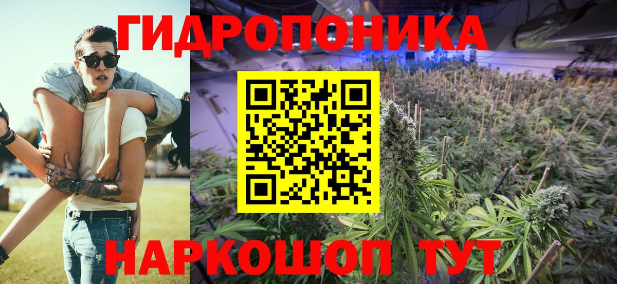 Бошки марихуана индика  Вход с VPN  Бошки Шишки Amnesia  Конопля SATIVA & INDICA  Воронеж  Конопля White Widow 